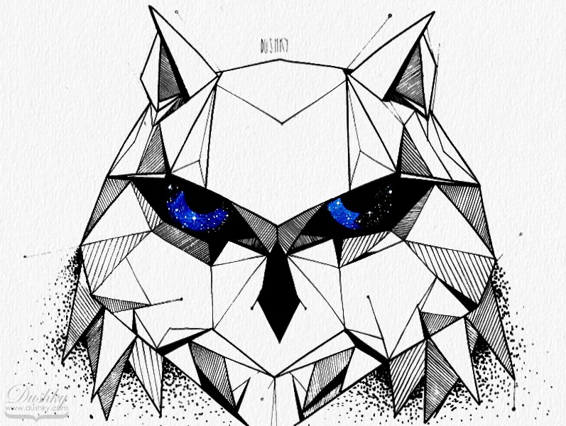 797x600 Starry Eyed Geometric Owl
