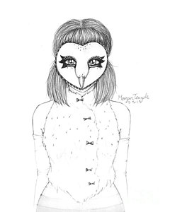 240x300 Barn Owl Drawings