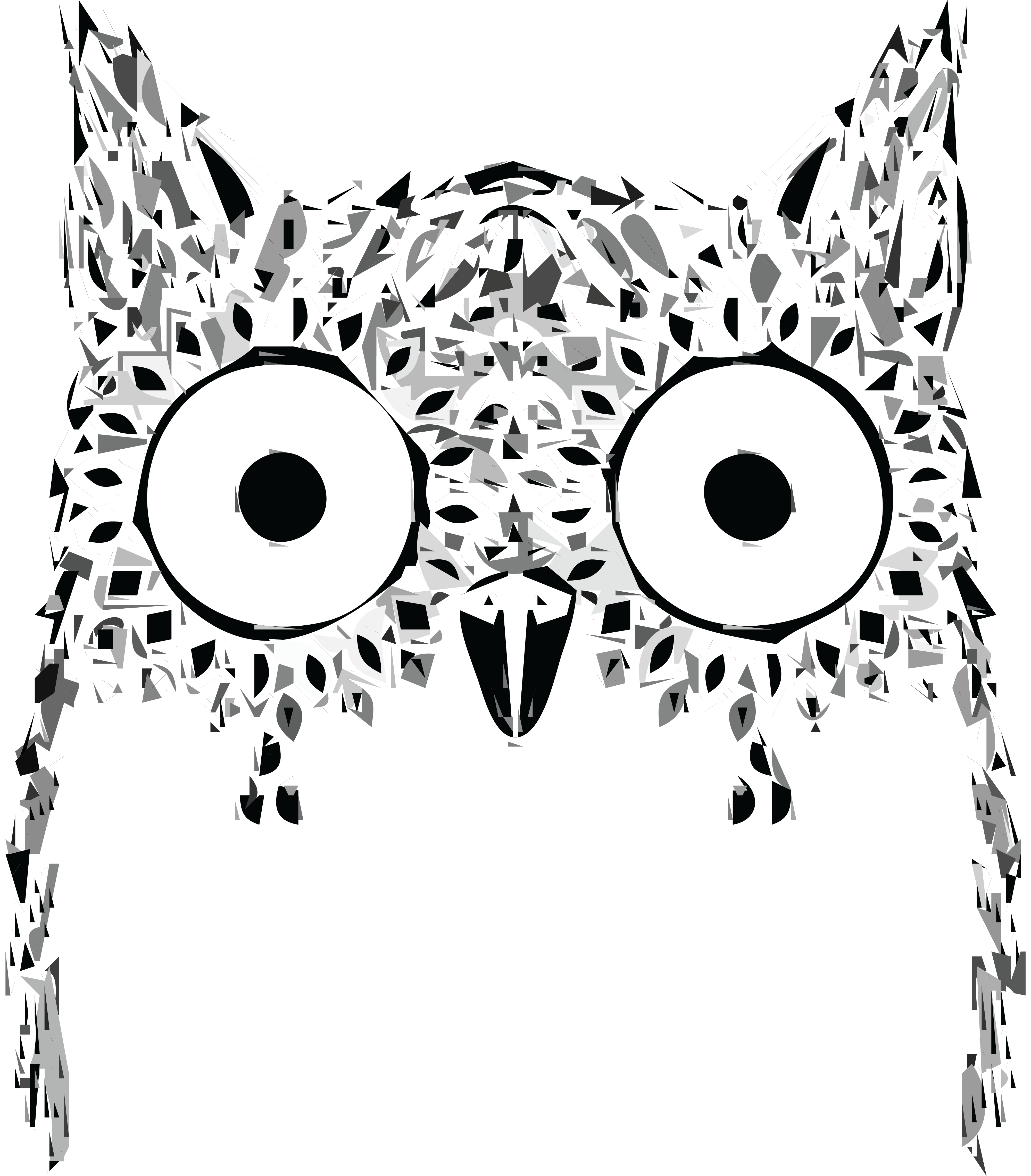 4000x4564 Free Clipart Of An Owl Face