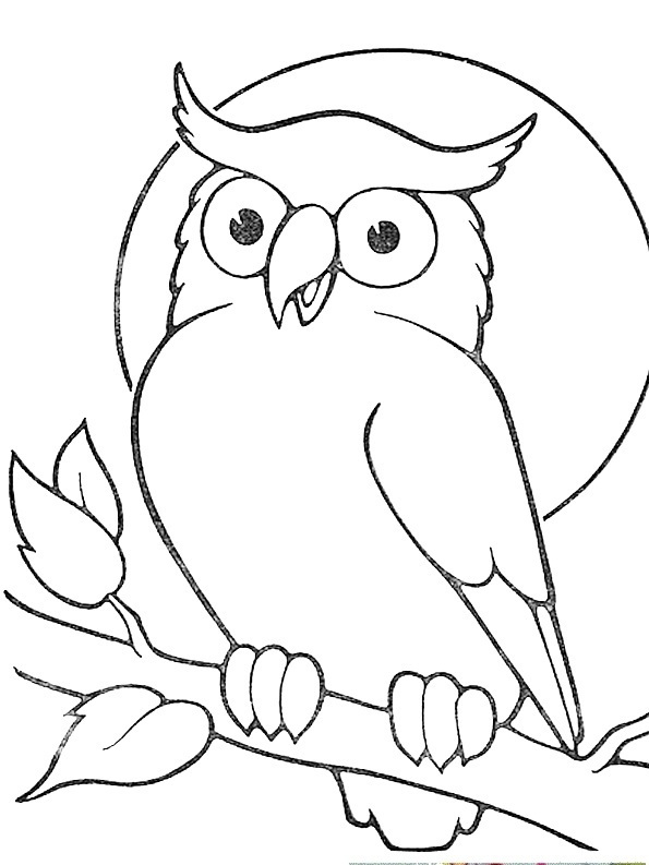 595x793 Rare Owl Outline Drawing Learn How To Draw A Barn Birds Step By