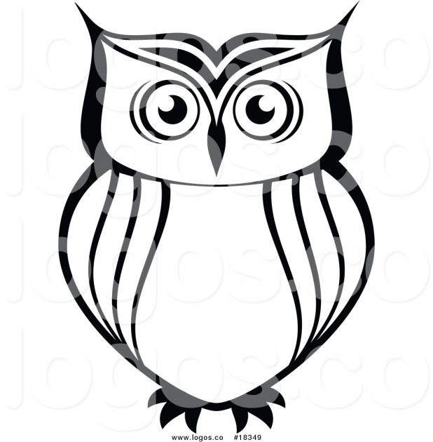 618x630 Simple Owl Outline. How To Draw An Owl Body. How To Draw An Owl