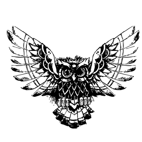 Owl Flying Drawing at GetDrawings | Free download