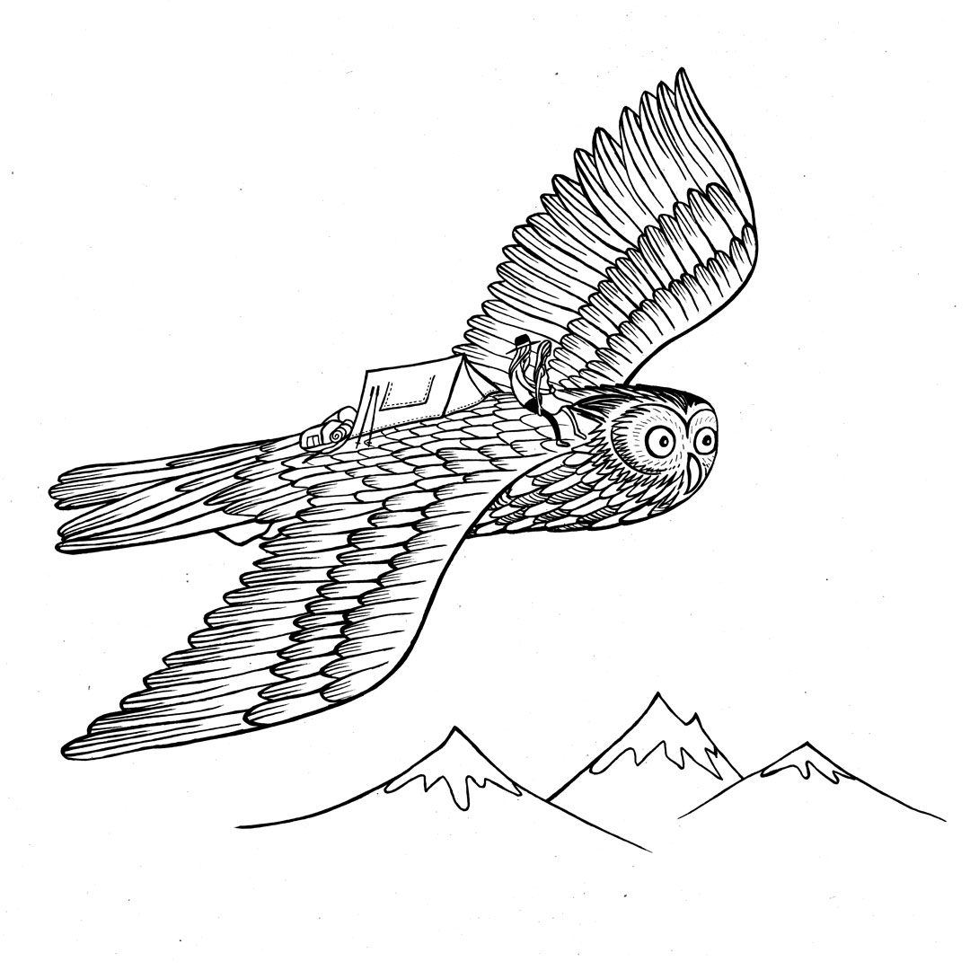 1080x1080 Owl Adventures With Keen Jonas Claesson