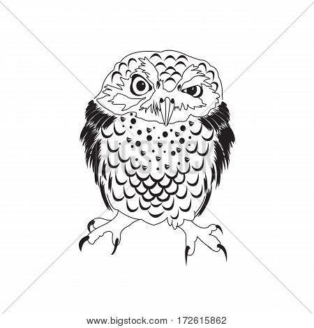 450x470 Owl Images, Illustrations, Vectors