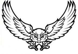 300x210 9th Annual Owl Flight 5k Runwalk