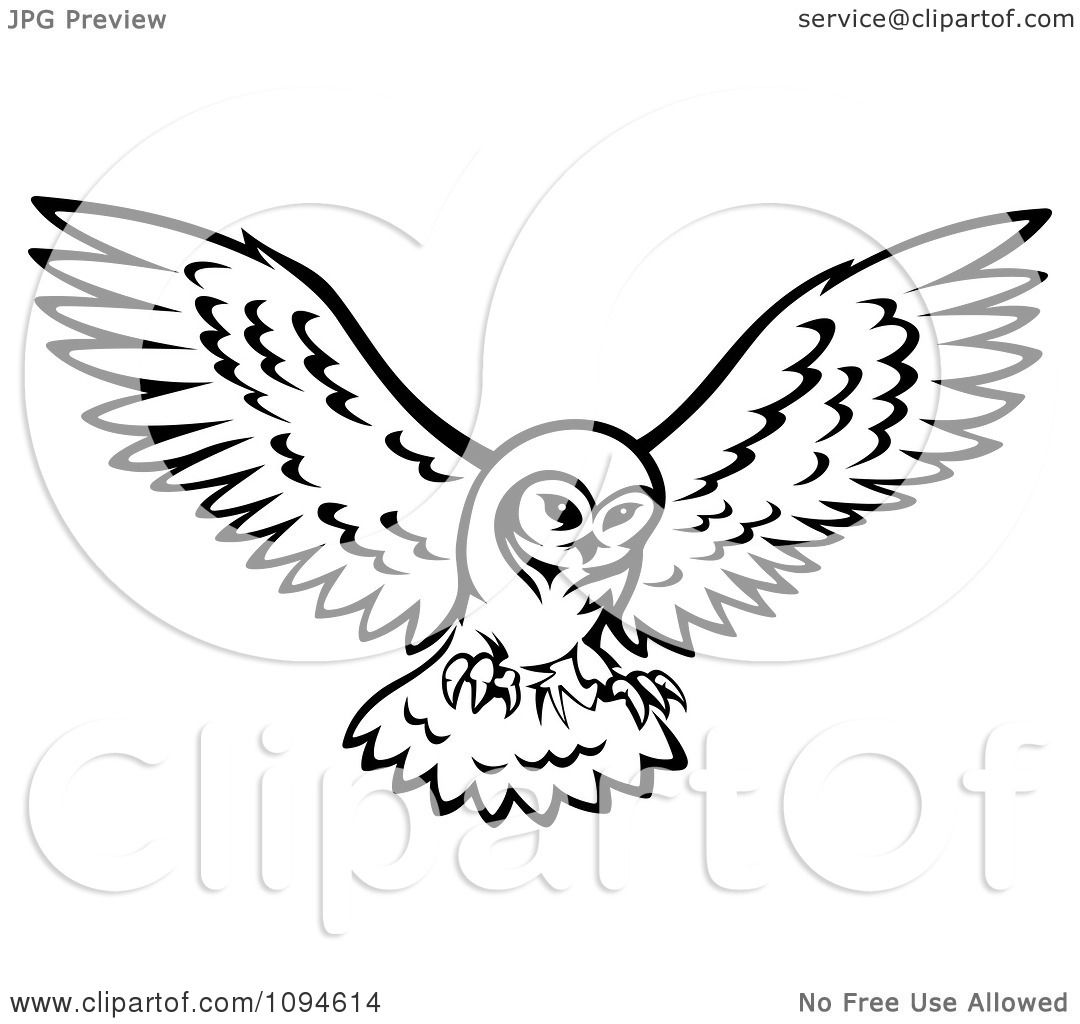 1080x1024 Clipart Black And White Owl In Flight