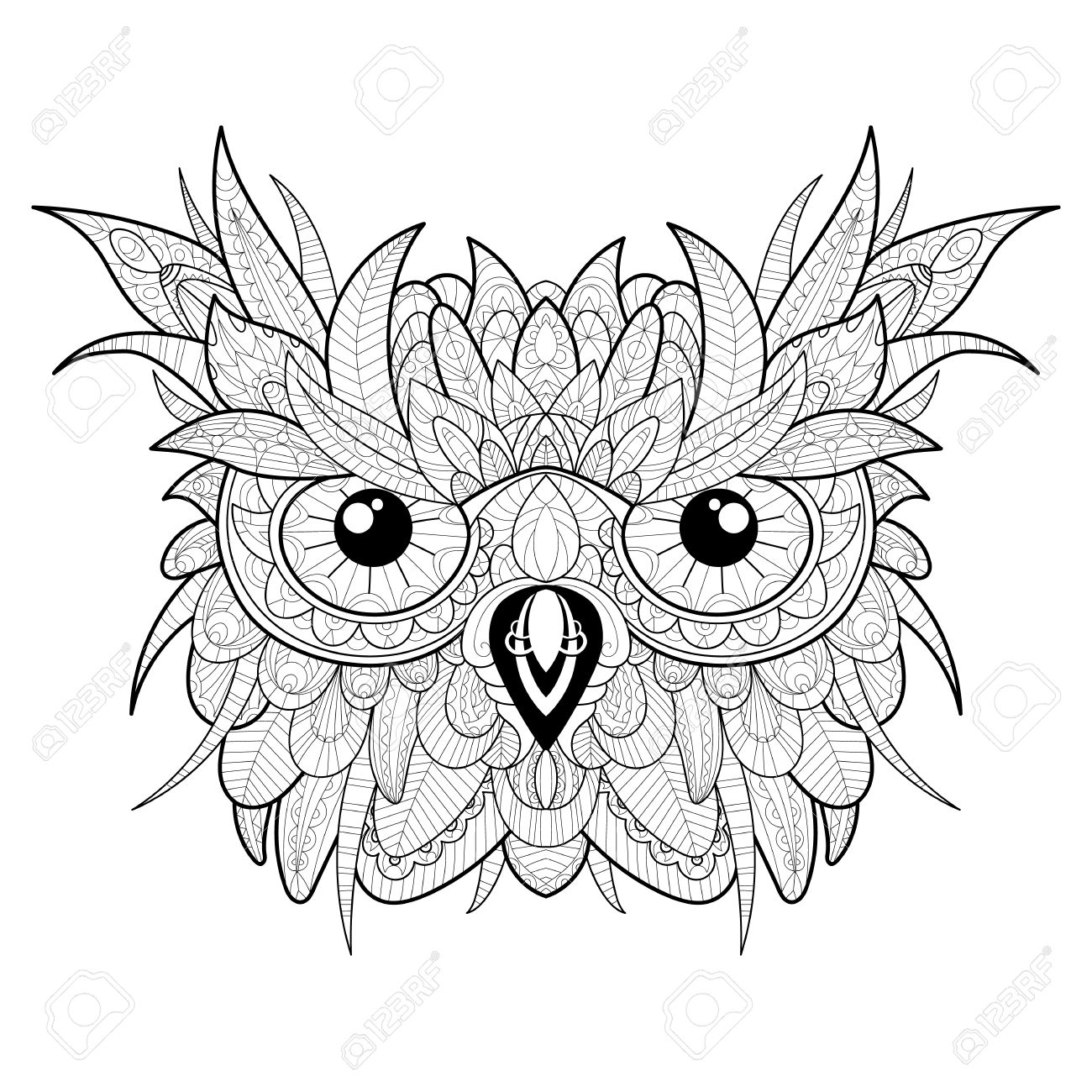 1300x1300 Hand Drawn High Detailed Owl Head For Adult Coloring Page. Royalty