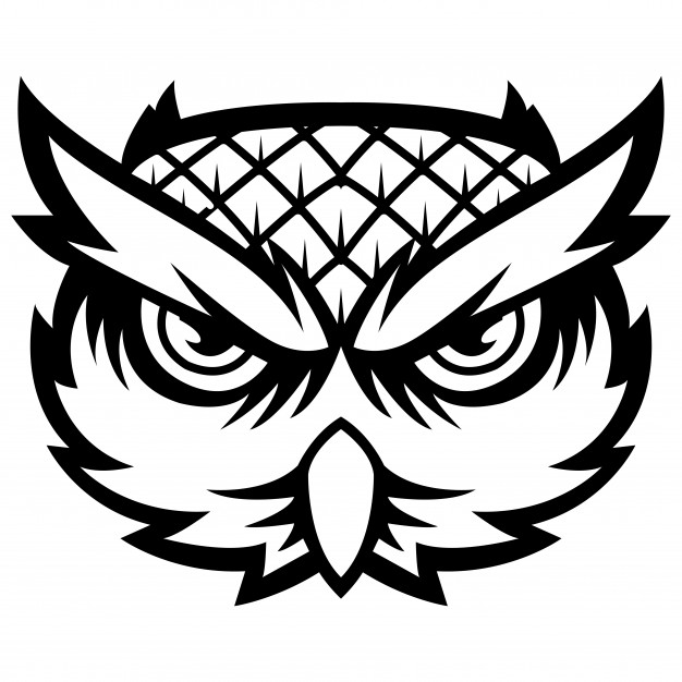 626x626 Majestic Wisdom Bird Owl Head Mascot Logo Vector Premium Download