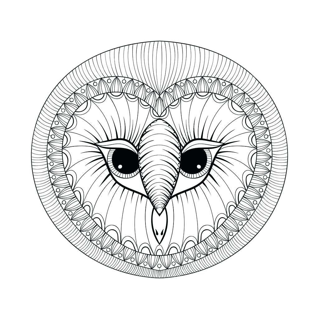 Owl Head Drawing at GetDrawings | Free download