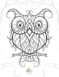 236x305 Owl Face Mask Colouring Pages For Cami Owl Mask