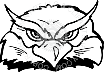 361x251 Owl Head Front View