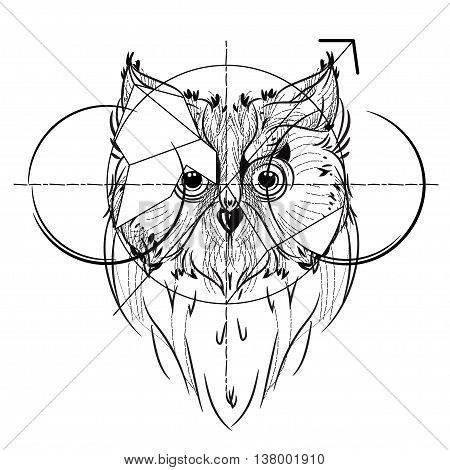 450x470 Bird Head Triangular Icon , Vector Amp Photo Bigstock