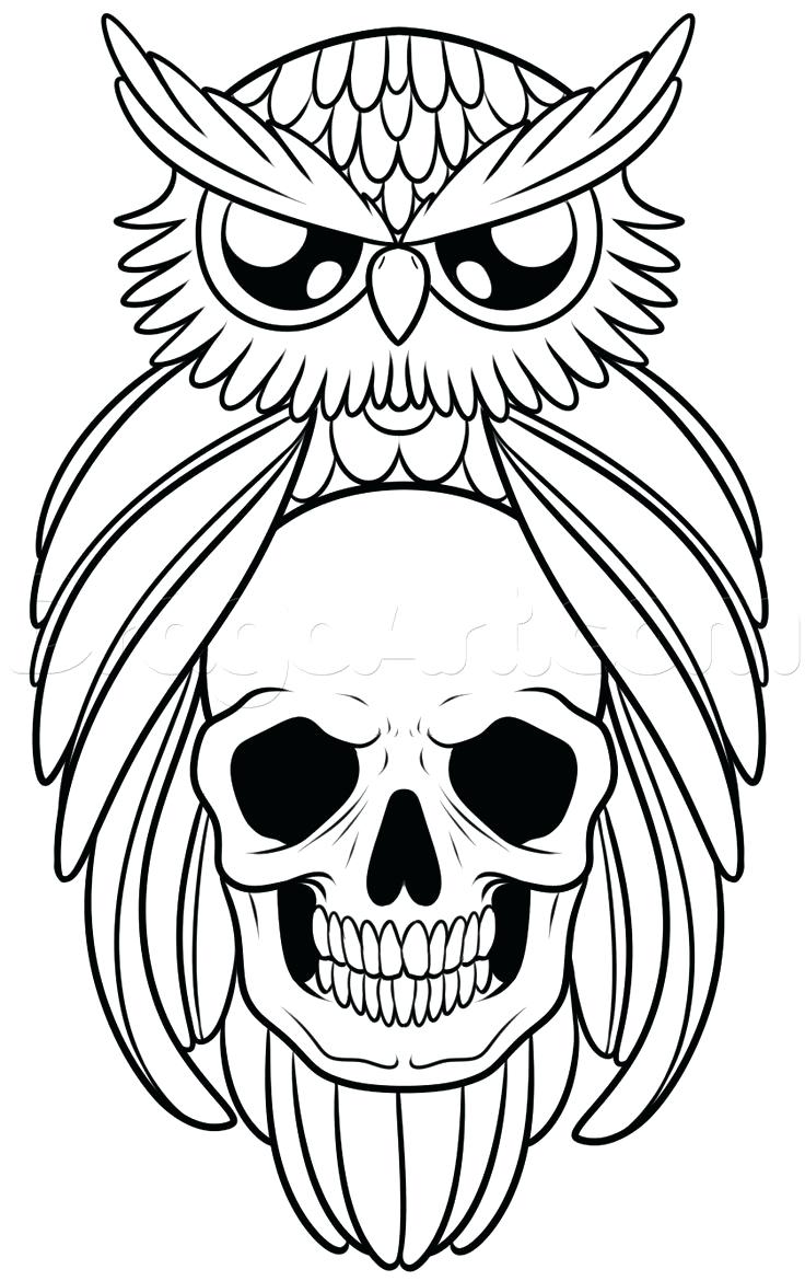 736x1170 Draw An Owl And Skull Tattoo Step By Tattoos Pop Culture Free