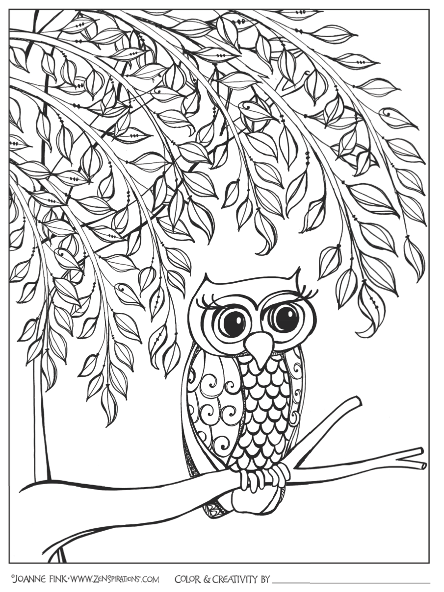 905x1208 Expressions Of Nature