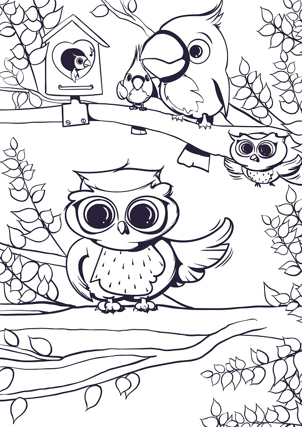 596x843 Learn How To Draw An Owl