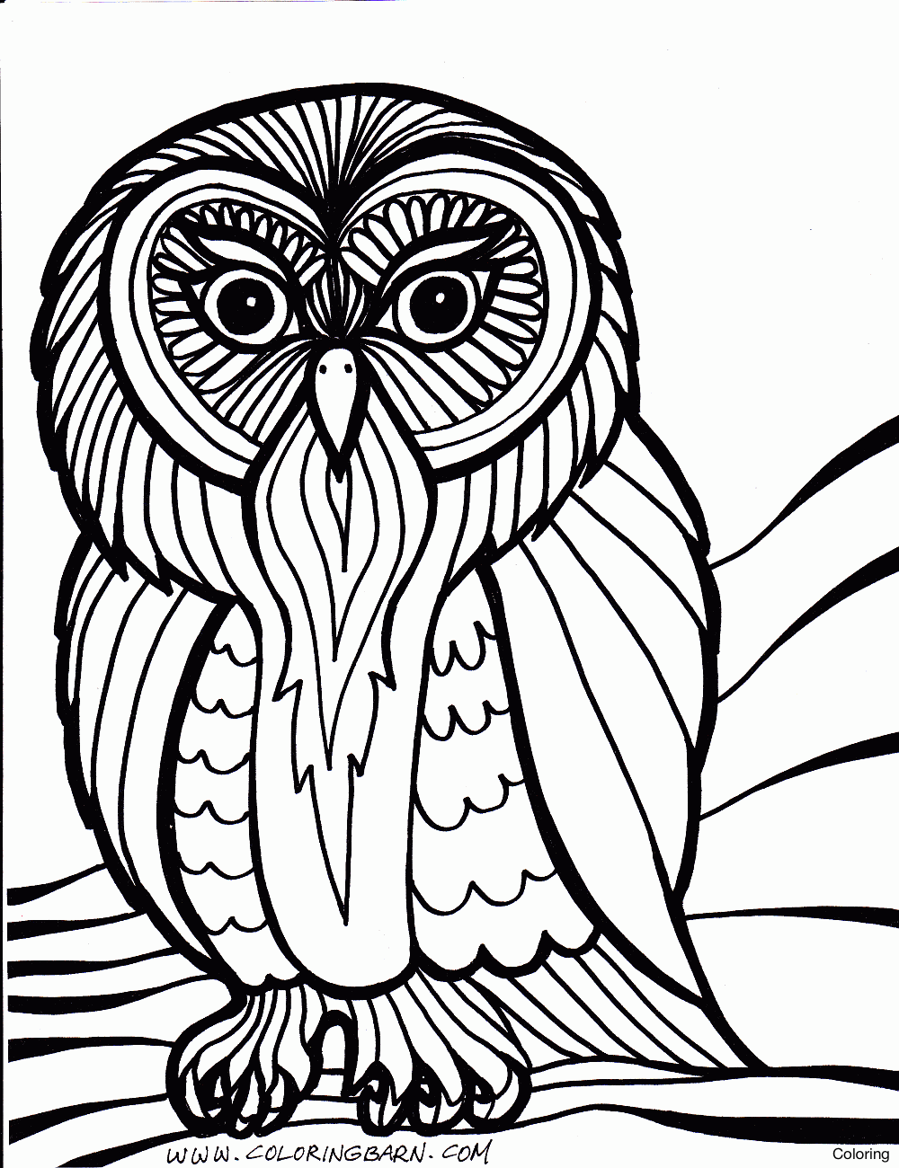 1000x1300 Owl Coloring Pages For Adults Adult 100 Free And Children 0f Owls