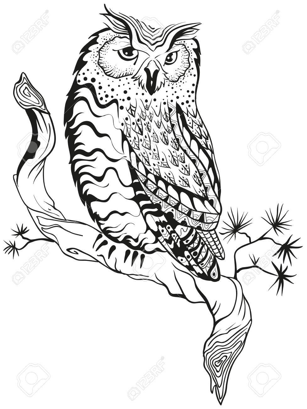 978x1300 Owl Sits On Tree Branch. Graphic Design. Illustration In Vector