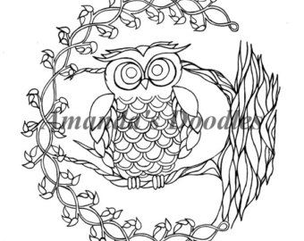 340x270 Owl Coloring Page Etsy