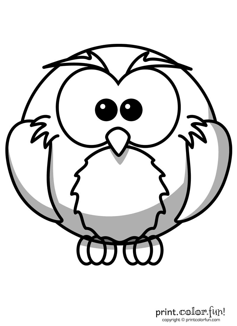 800x1100 Cartoon Owl Coloring Page