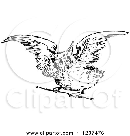 450x470 Clipart Of A Vintage Black And White Owl Taking Flight