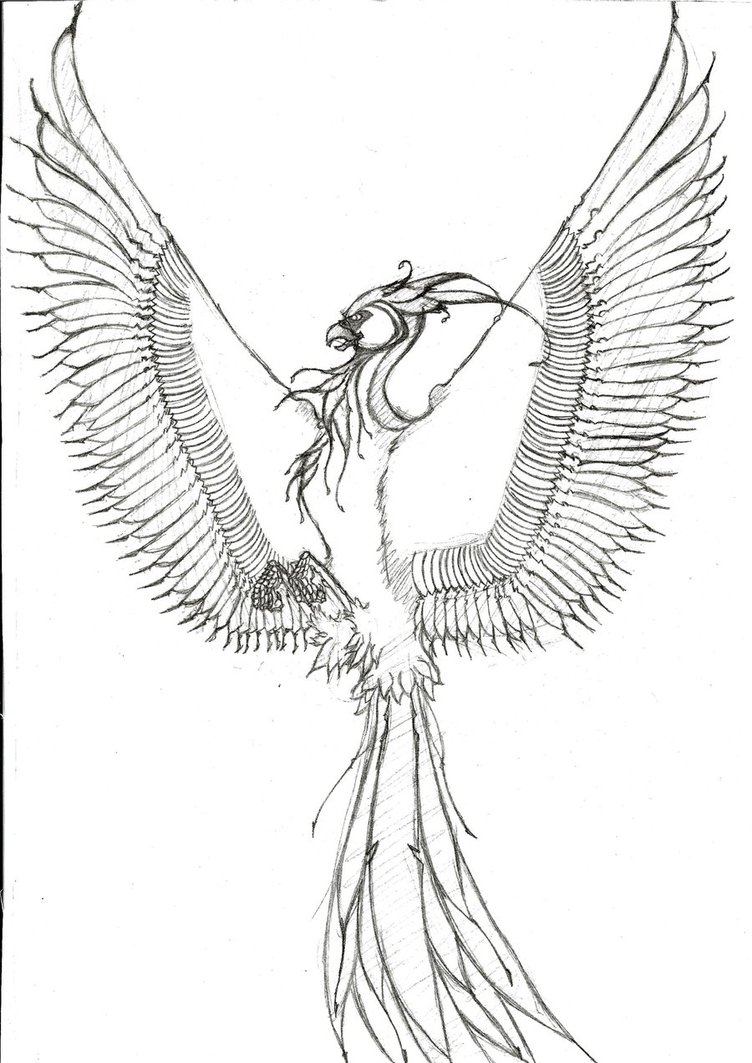 752x1063 Fenixaugurey By Kingsketcher