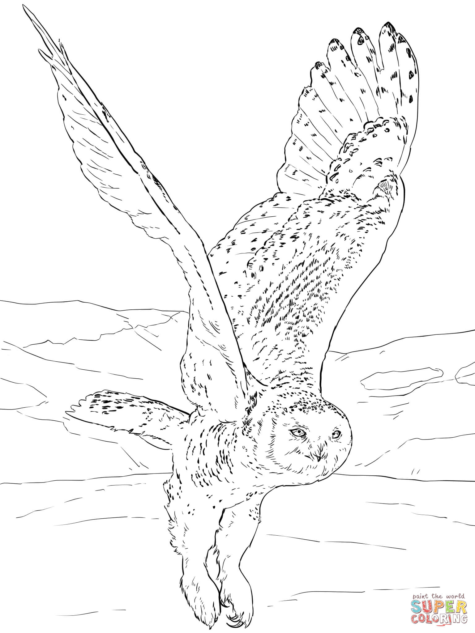 1536x2048 Snowy Owl Coloring Page Free Printable Coloring Pages