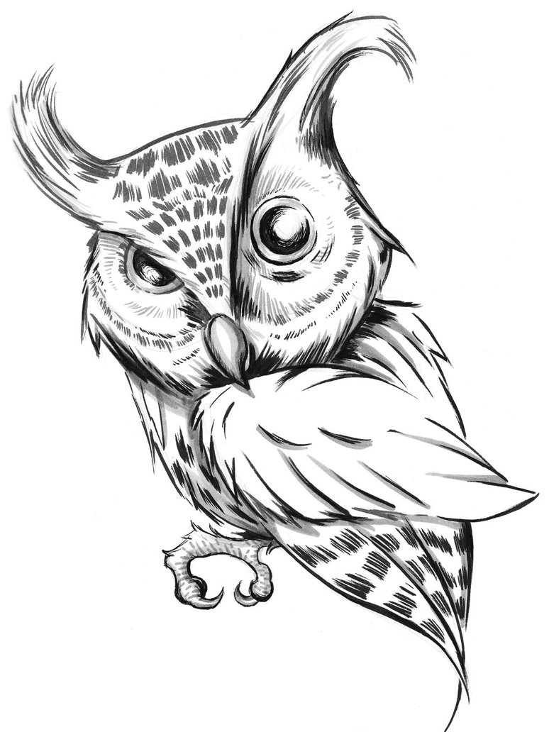 774x1032 Inktober Screech Owl By Seanwthornton