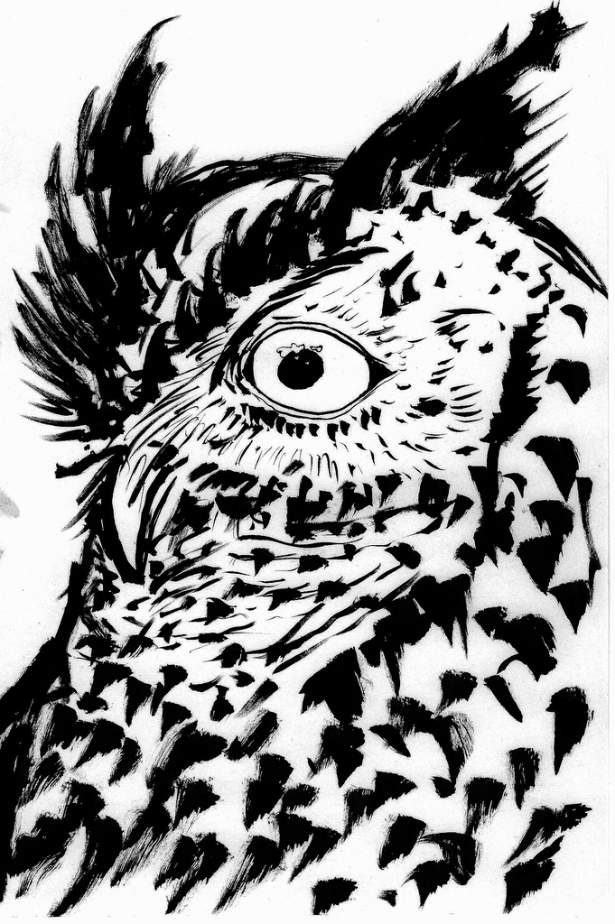 681x1024 Joemdragunas's Most Interesting Photos Picssr