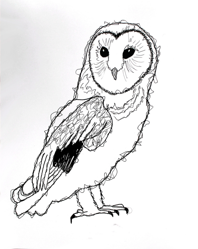817x1024 The World's Best Photos Of Barnowl And Ink