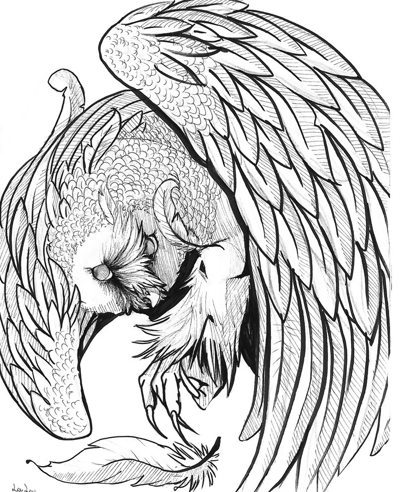 806x991 Pen And Ink Owl By Darkshadowdreams