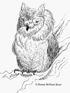 236x311 Great Horned Owl In Black And White. So Well Camouflaged