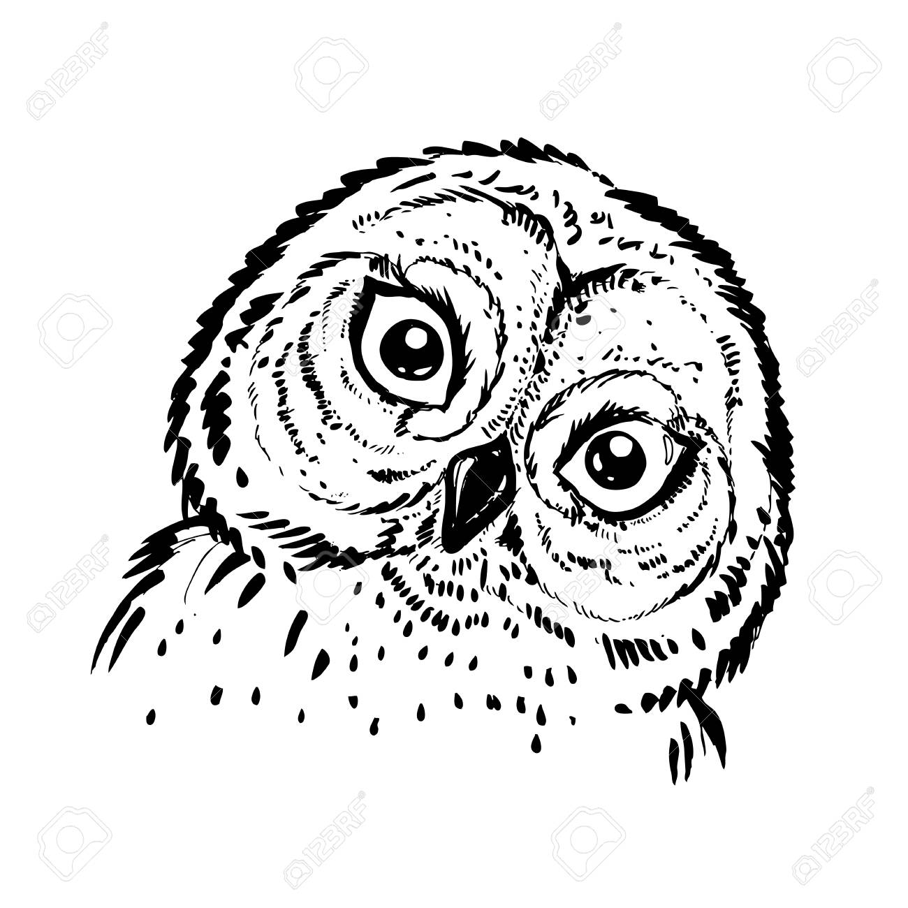 1300x1300 Hand Drawn Ink Illustration Owl. Vector Eps 8 Stock Photo, Picture