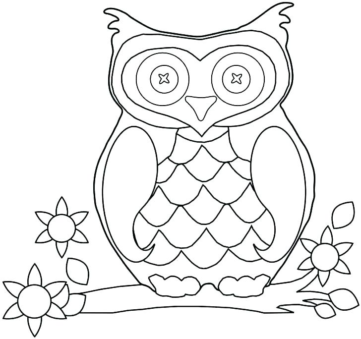 728x684 Elegant Baby Owl Coloring Pages Image