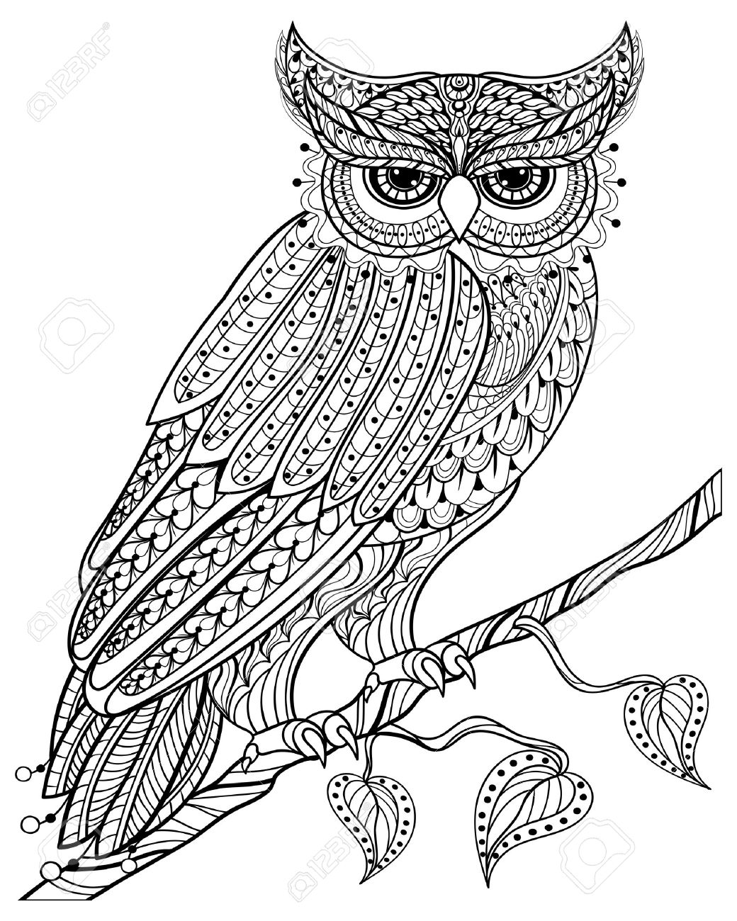 1040x1300 Hand Drawn Magic Owl Sitting On Branch For Adult Anti Stress