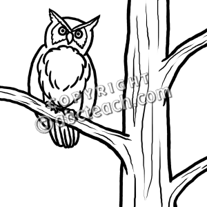 300x300 Owl In Tree Clipart Black And White
