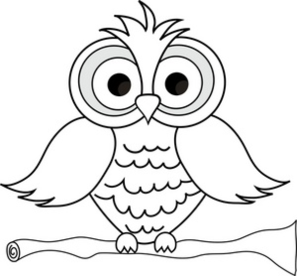 600x556 Owl On A Branch Clipart Black And White Hd Letters