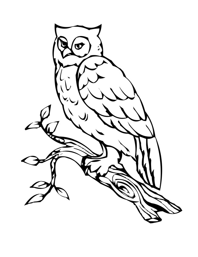 650x841 Owl Template