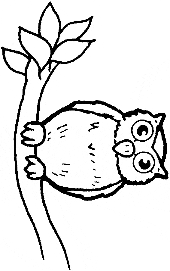 566x900 Owl A Branch Coloring Page
