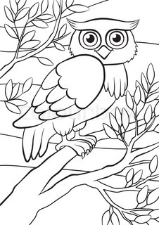 226x320 Owl Illustration Stock Vector Colourbox