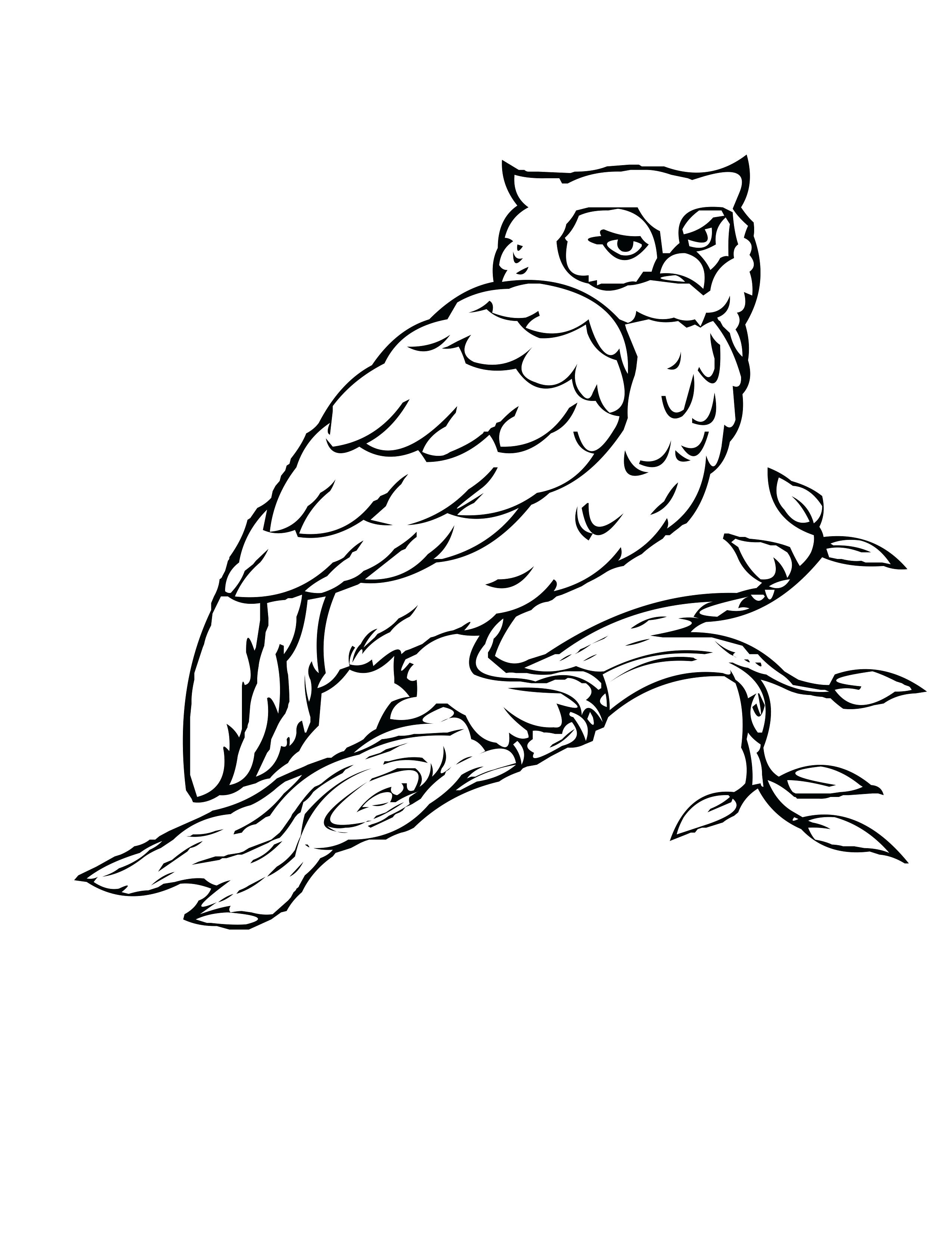 2550x3300 Coloring Pages ~ Coloring Pages Of Owls Adult Owl Page More