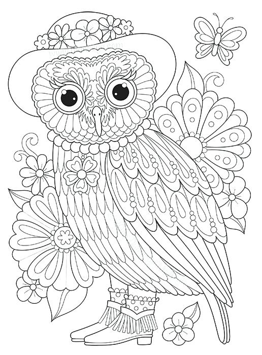 516x700 Coloring Book Owl And Owl On A Branch Coloring Book Vector