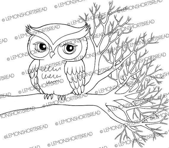 570x499 Digital Stamp Owl On Branch Autumn Digi Download Clip Art