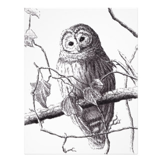 324x324 Owl On A Branch Letterhead Zazzle