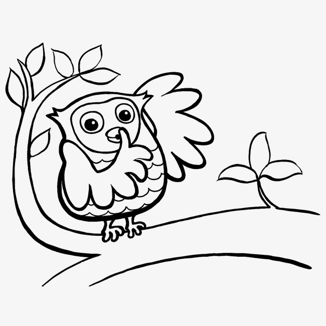 650x650 Quiet Owl, Branches, Owl, Birds Png Image For Free Download