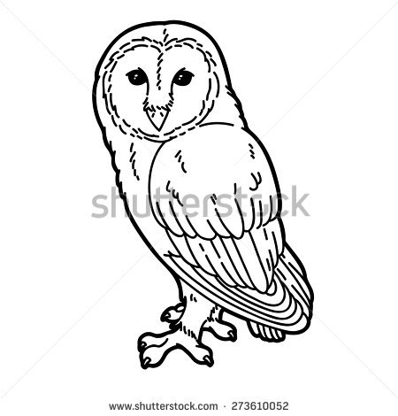 450x470 Drawn Owl Outline