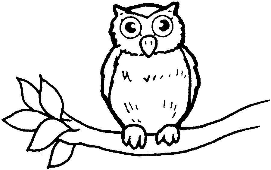 900x566 Cute Owl Coloring Pages Animal Owl Bird Coloring Books Leyanne