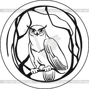 300x300 And White Owl Sitting On Branch Tree Circular