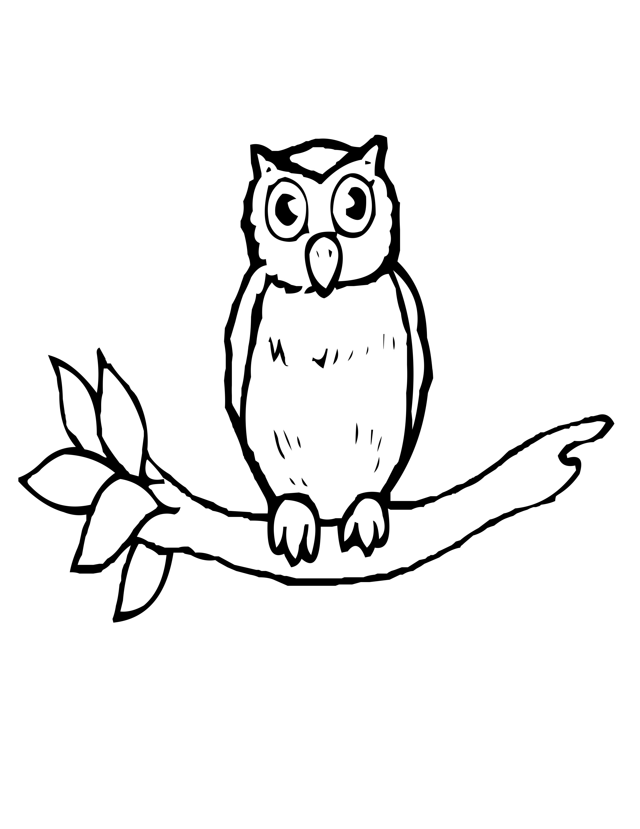 Owl On Tree Branch Drawing at GetDrawings | Free download