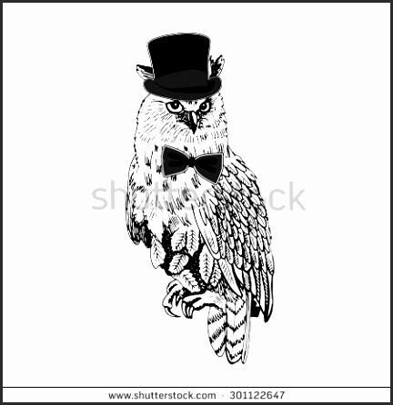 432x446 Drawings Of Owls In Black And White Cwabc Elegant Drawn Owl