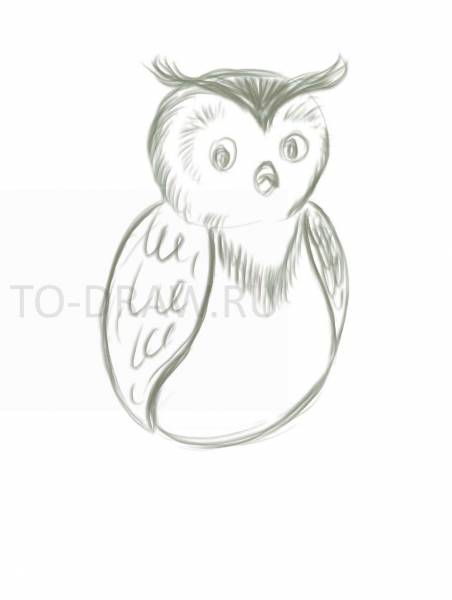 452x600 How To Draw An Owl Pencil Stages